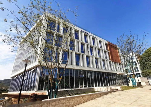 湘江科創(chuàng)基地一期獲批省級孵化器，為區(qū)域創(chuàng)新發(fā)展注入新動能